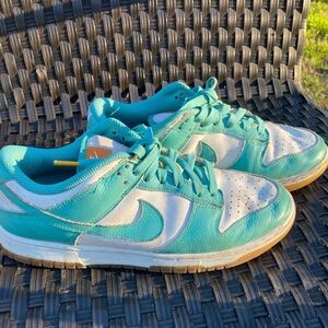 Nike Dunks Women's Teal and White